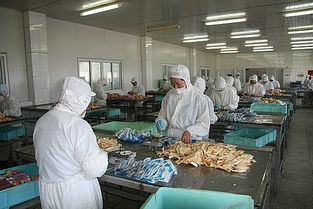 永泰縣水產生產主體調查摸底工作順利開展，助力市場精準調研